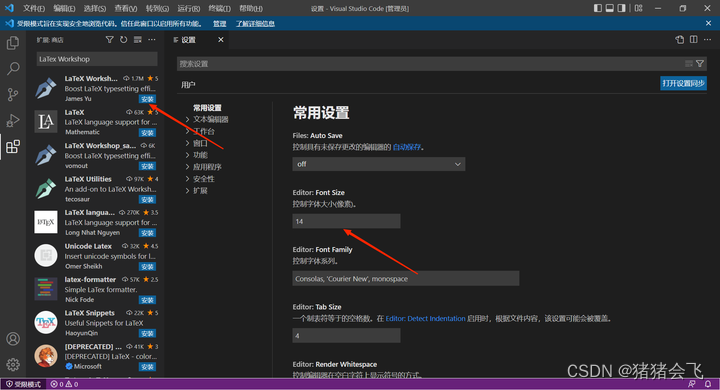 LaTex排版系统：TeX Live+Visual Studio Code的配置