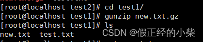 gunzip new.txt.gz