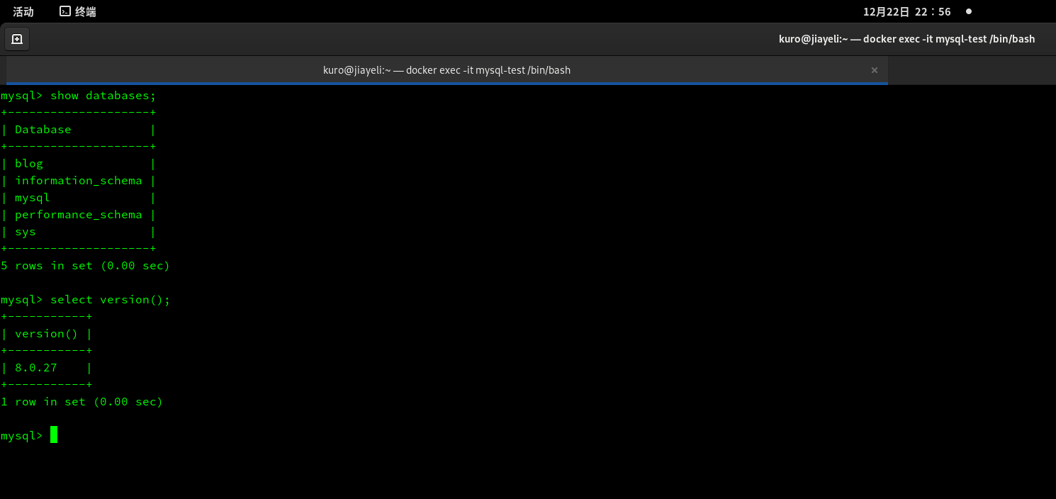 docker中的mysql