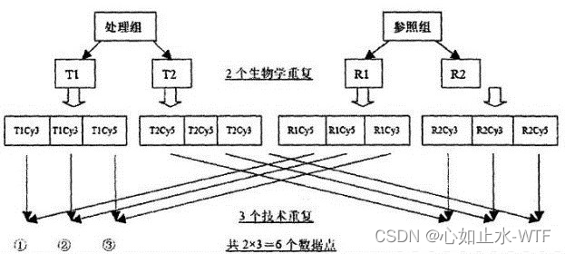 RNAseq生信分析流程简介