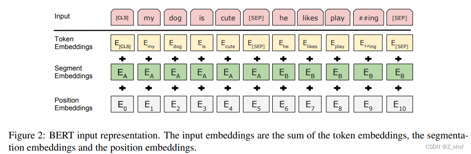 input representation