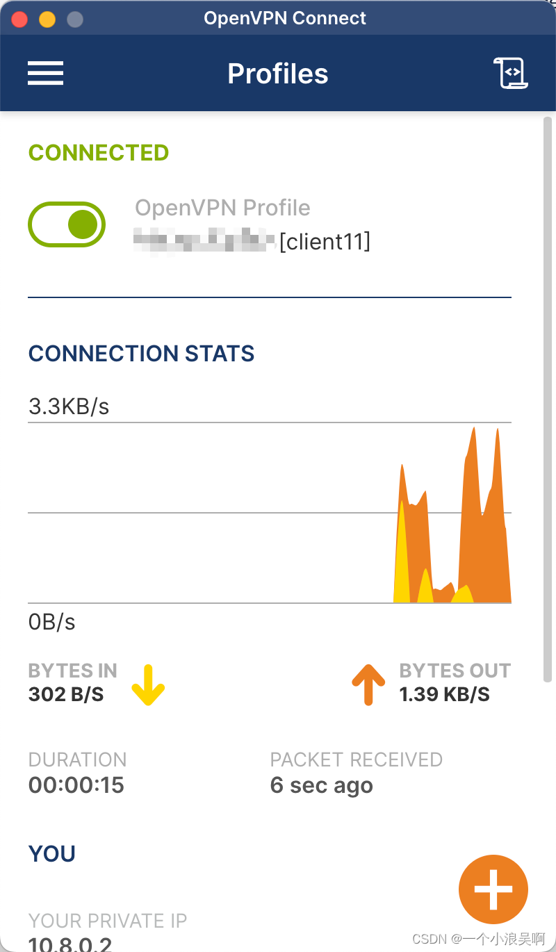 Linux Ubuntu系统 OpenVPN 客户端安装