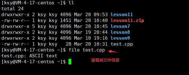 linux常用命令菜鸟教程_化妆初学者必备工具