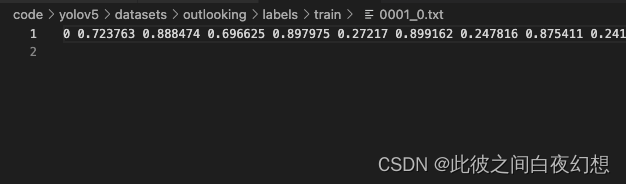 Python实例分割 YOLOv5 segment使用教程（完善中）