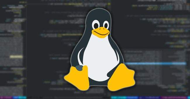 Linux中是谁占用了我的端口插图