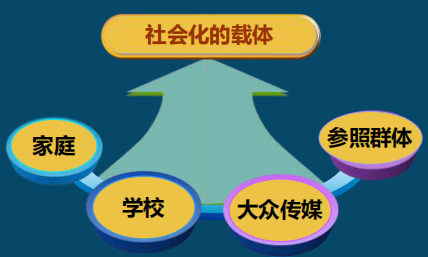 社会化的四个载体