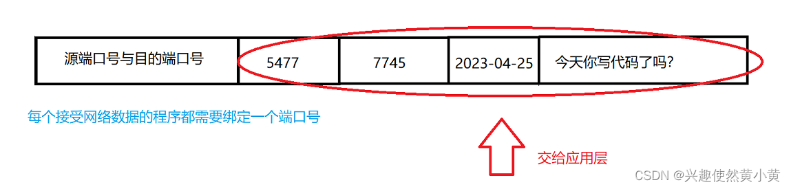 UDP数据报