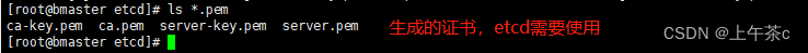 [外链图片转存失败,源站可能有防盗链机制,建议将图片保存下来直接上传(img-yxg1Lw2n-1656048400948)(images\cfssl.jpg)]