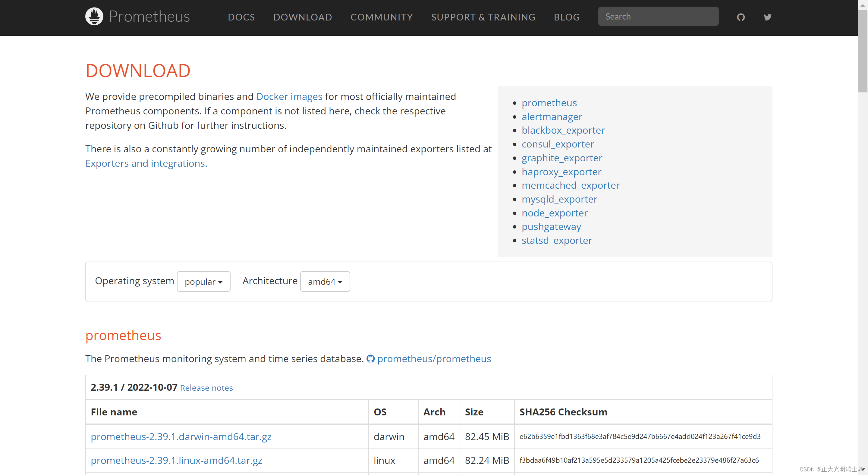 【精选】Prometheus原理以及Prometheus+Grafana部署_正大光明瑞士卷的博客CSDN博客