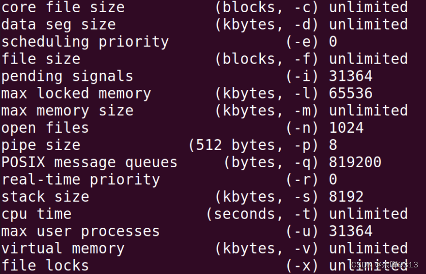 Segmentation Fault (core Dumped)-CSDN博客