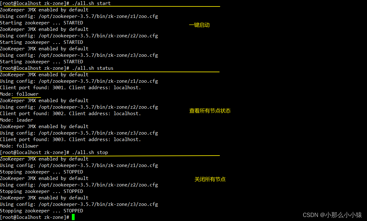 zookeeper的使用及集群搭建、监听、选举、锁_zk 集群CSDN博客