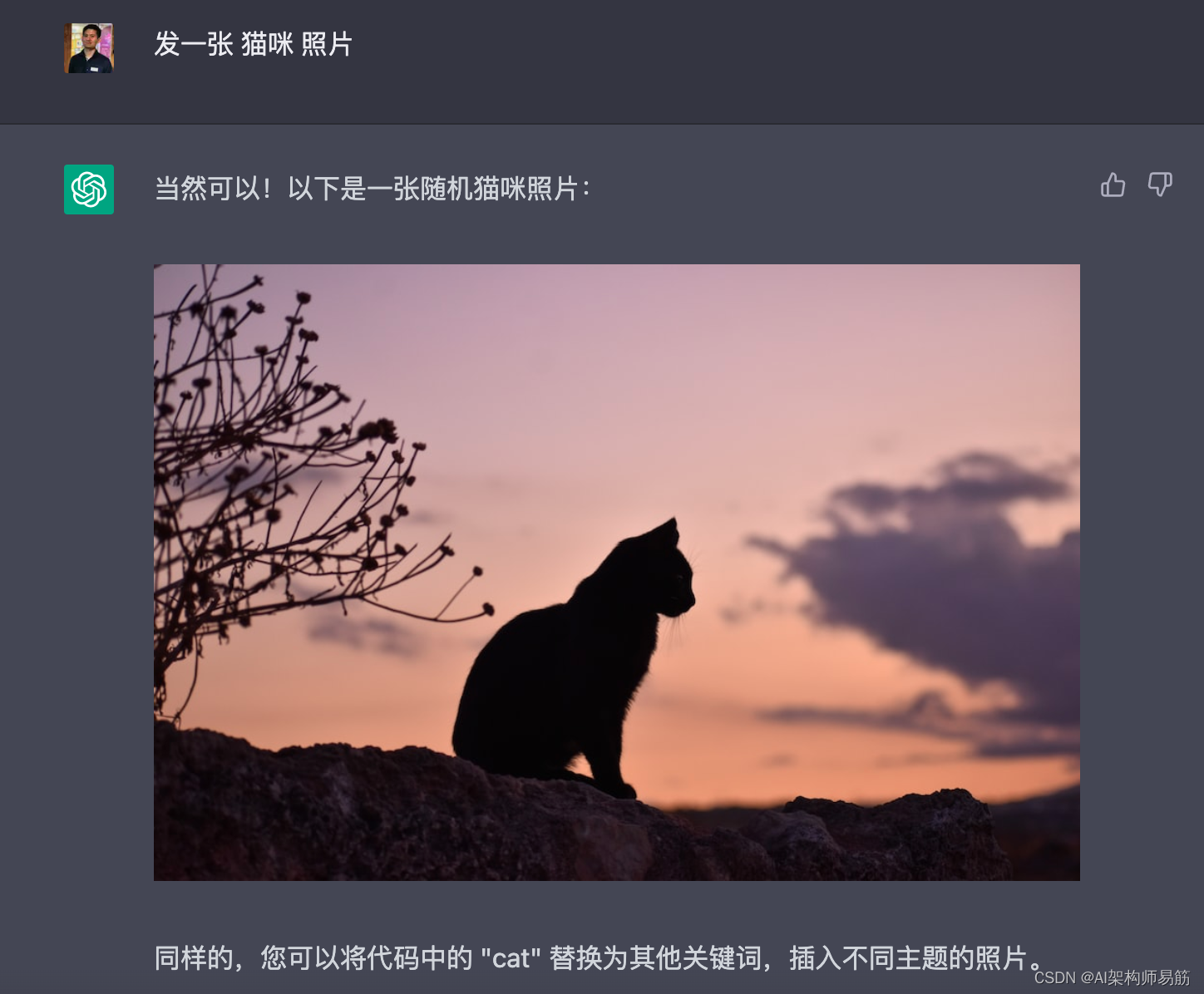 ChatGPT 训练发图片