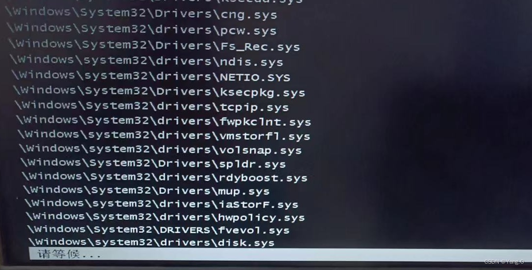 \windows\system32\dirvers/disk.sys