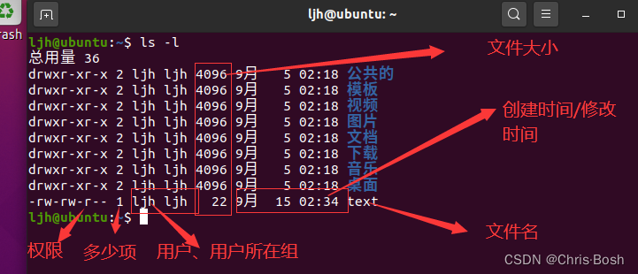 虚拟机Ubuntu操作系统常用终端命令（2）（详细解释+详细演示）