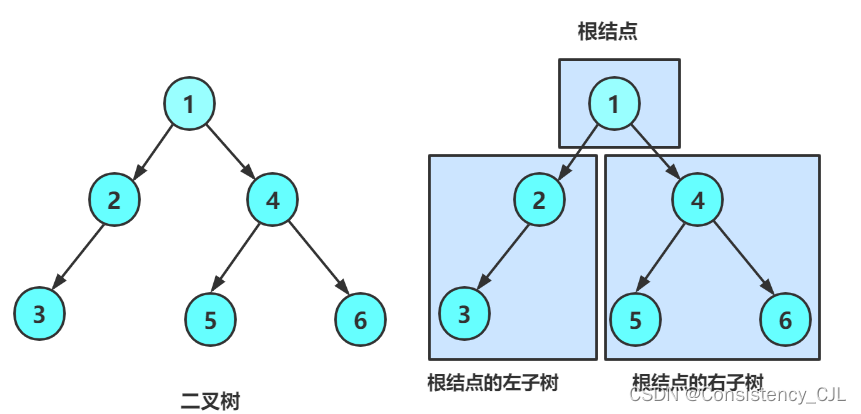 二叉树概念