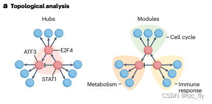 fig3a