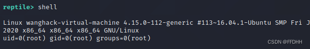 Rootkit 后门的利用