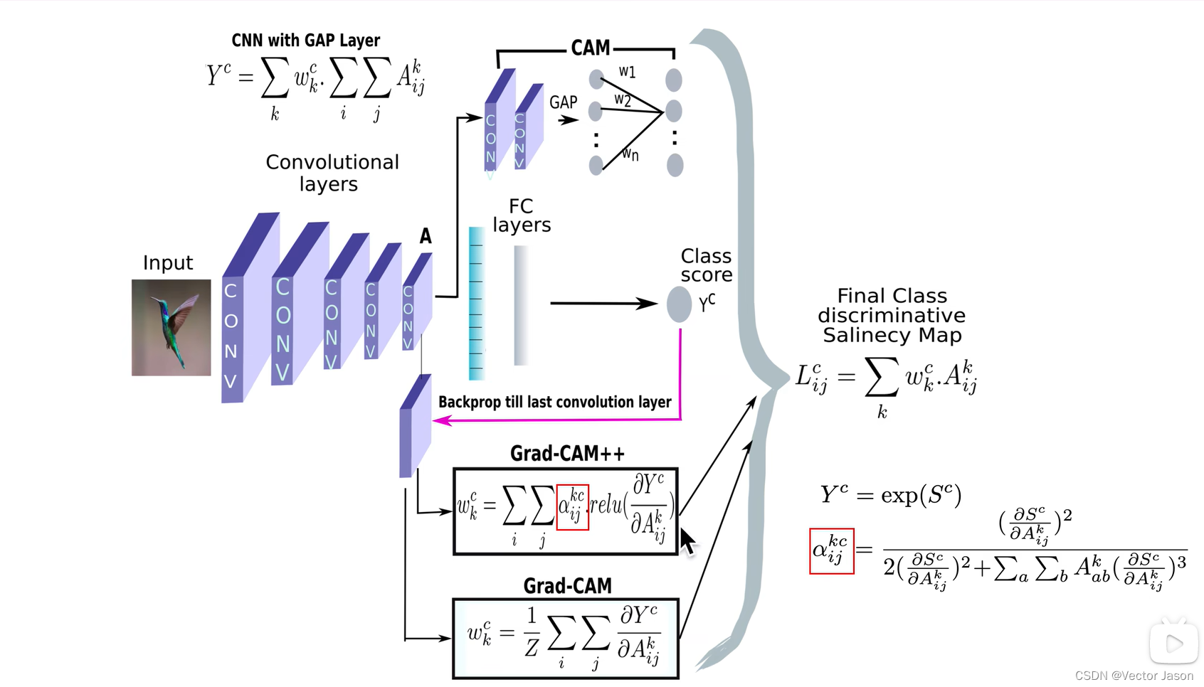 以GradCAM为例的衍生算法分析_gradcam++平方再加CSDN博客