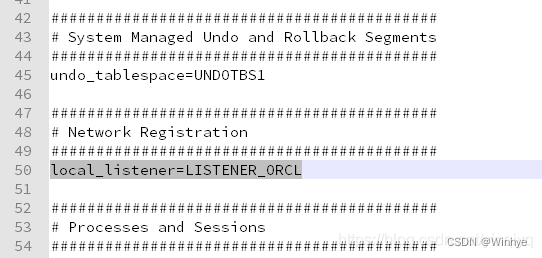 Oracle启动报错解决：ora-00119和ora-00132