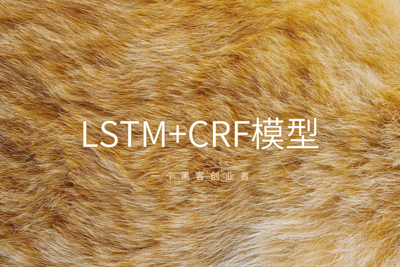 LSTM+CRF模型