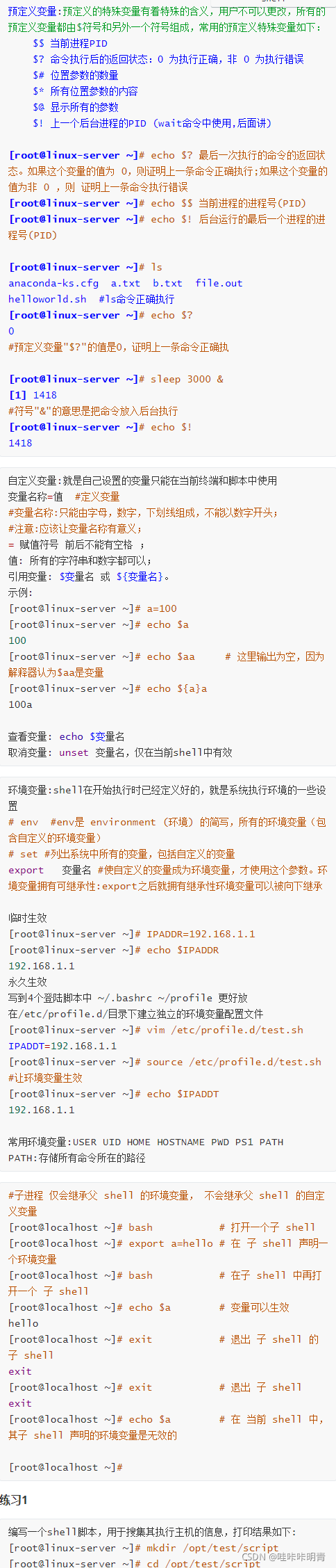 Shell编程 Bash Shell 特性 Bash 初始化 Shell的分类和切换 Shell使用场景 变量的类型 通配符置换 Shell 脚本规范 变量运算 一个运维小青年的博客 Csdn博客 Shell编程 Bash Shell 特性 Bash 初始化 Shell的分类和切换 Shell使用场景 变量的类型 通配符置换 Shell 脚本规范 变量运算 一个运维小青年的博客 Csdn博客