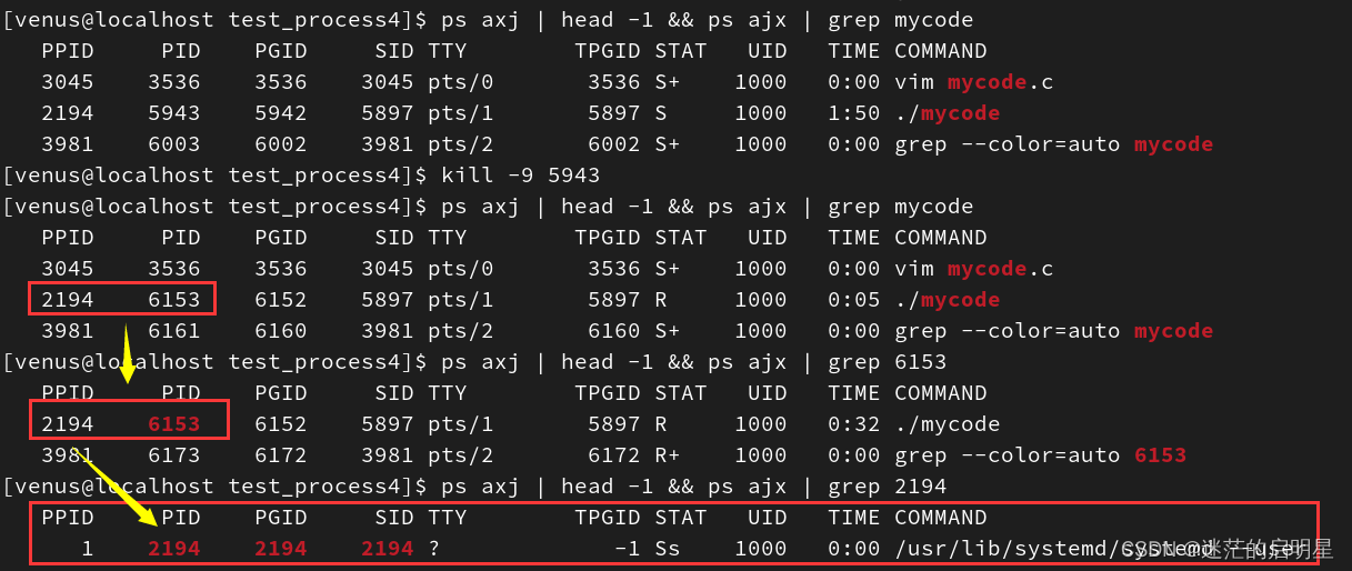 《Linux从练气到飞升》No.13 Linux进程状态