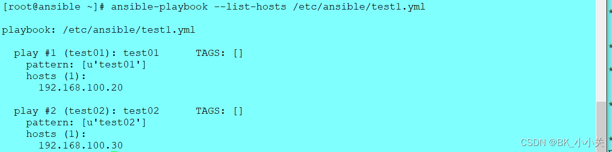 Ansible Playbook BK