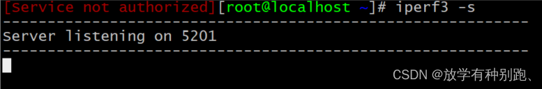 linux环境下iperf3测试网口速率_iperf3 linux-CSDN博客