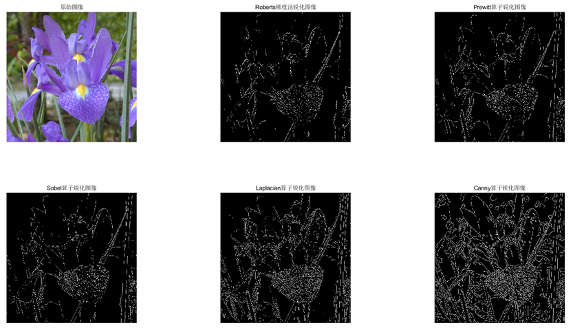 图9. iris-Na处理前后图像