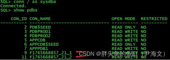 数据库管理-第八十七期 19c OCM之路-第一堂（02）（20230630）