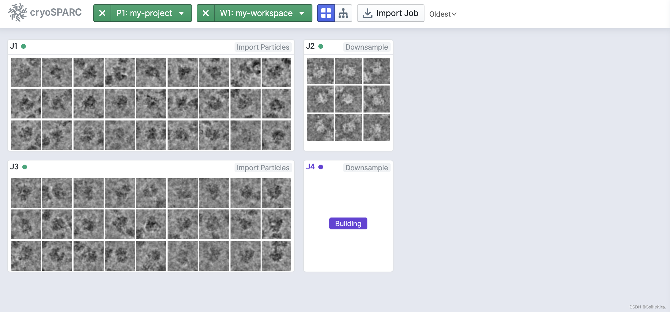 CryoEM - 冷冻电镜 CryoSPARC 单颗粒图像数据集构建