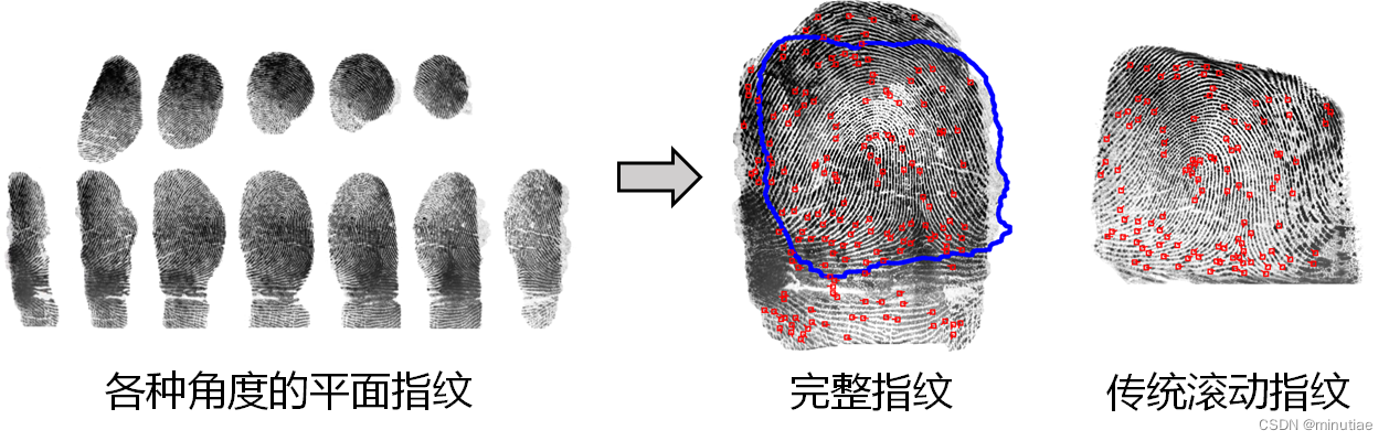 fingerprint stitching