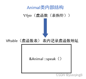 Animal类内部结构