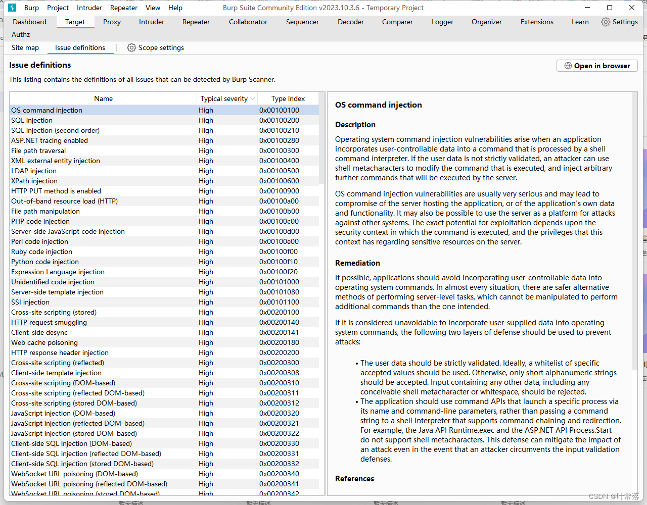 burpsuite issue definitions