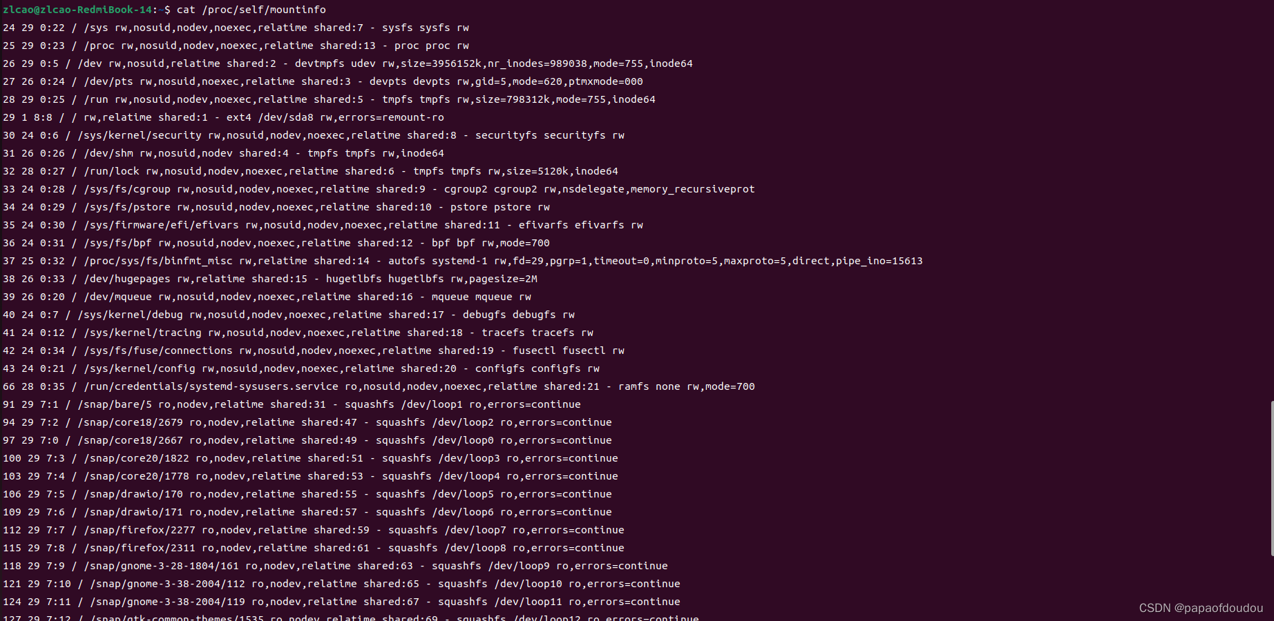 Linux系统的各个mount点以及文件系统挂载分析_挂载点CSDN博客