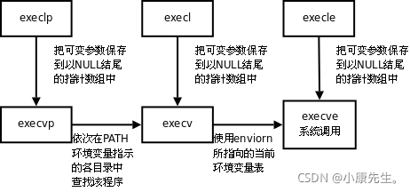 exec函数族