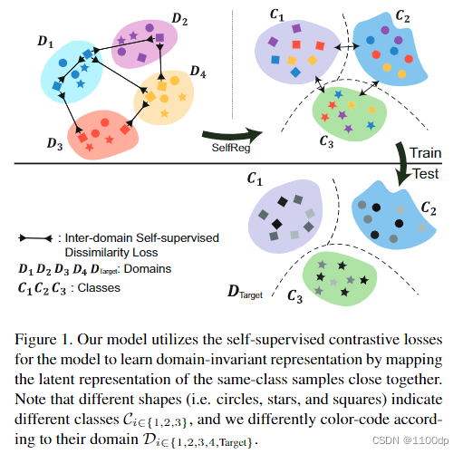 SelfReg: Self-supervised Contrastive Regularization for Domain ...