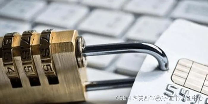 国密SSL证书保障网站安全