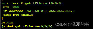 OSPF7种状态机停留实验