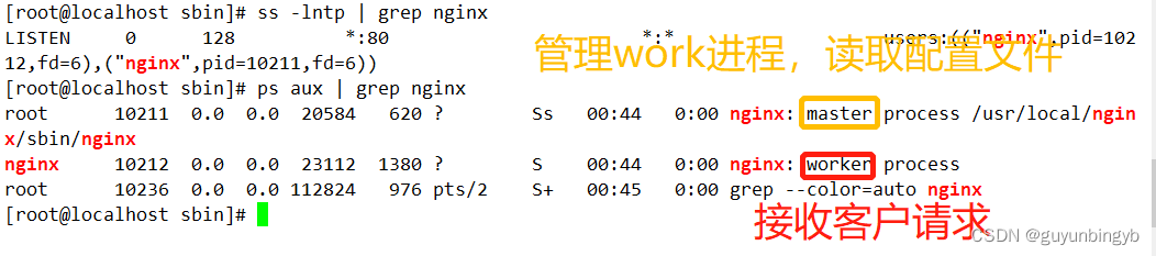 关于Nginx的那些事