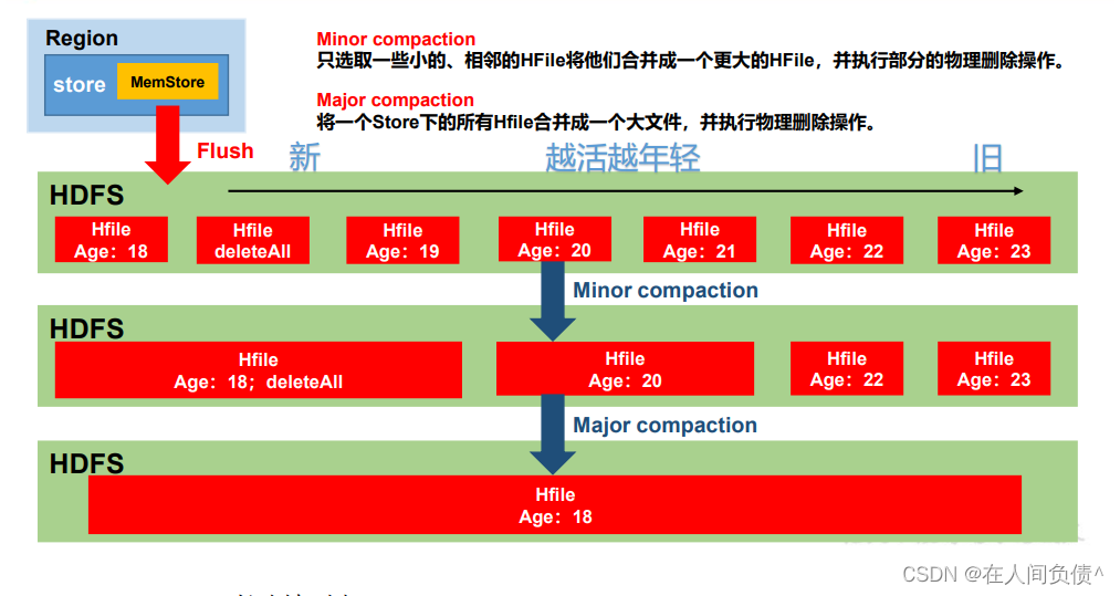 HBase 2.x ---- HBase进阶