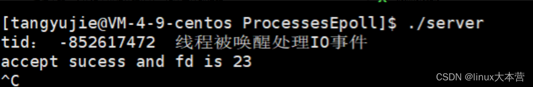 Linux下各种锁的理解和使用及总结解决epoll惊群问题(面试常考)