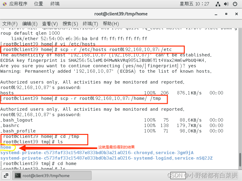 SSH安全登录远程主机