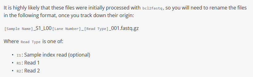10X官网对于output数据的说明