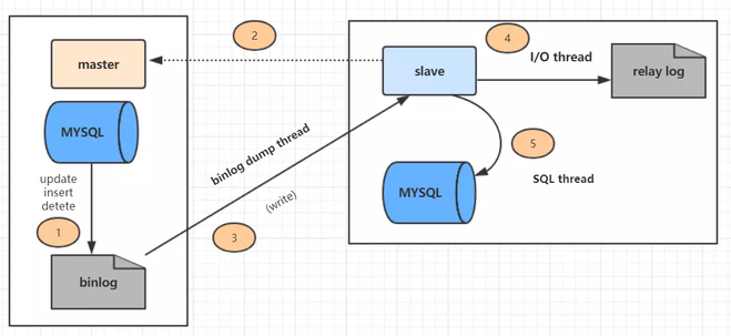 后端学习 - MySQL存储引擎、索引与事务