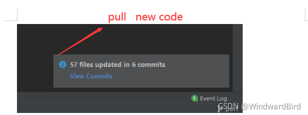 pull  new code