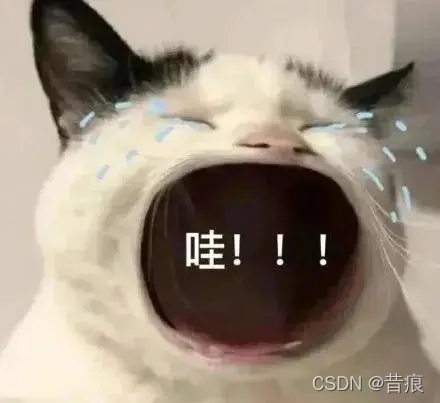 打开Navicat for MySql 连接数据库报Can‘t connect to MySQL server on ‘localhost‘ 10038错误