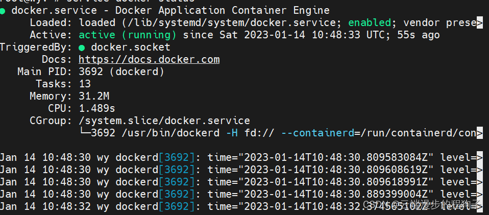 Docker 架构和安装