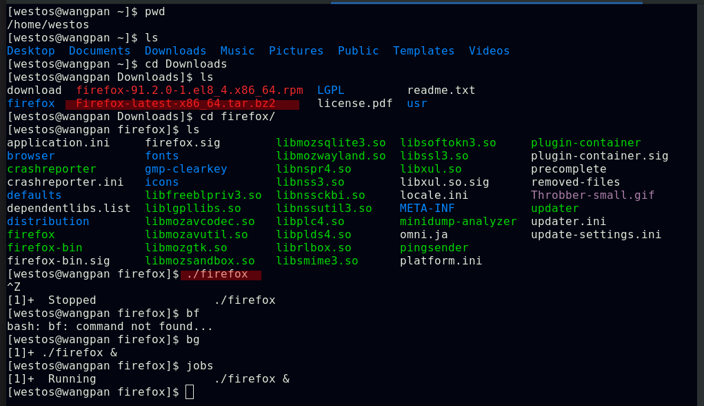 Kubernetes监控 李牛克斯小学生的博客 Csdn博客 Kubernetes监控