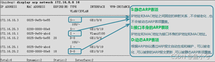 ARP表